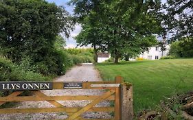 Llys Onnen