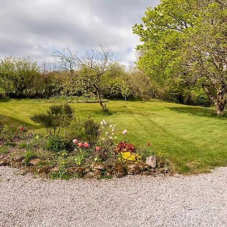Llys Onnen - North Wales Holiday Cottage Mold Exterior photo