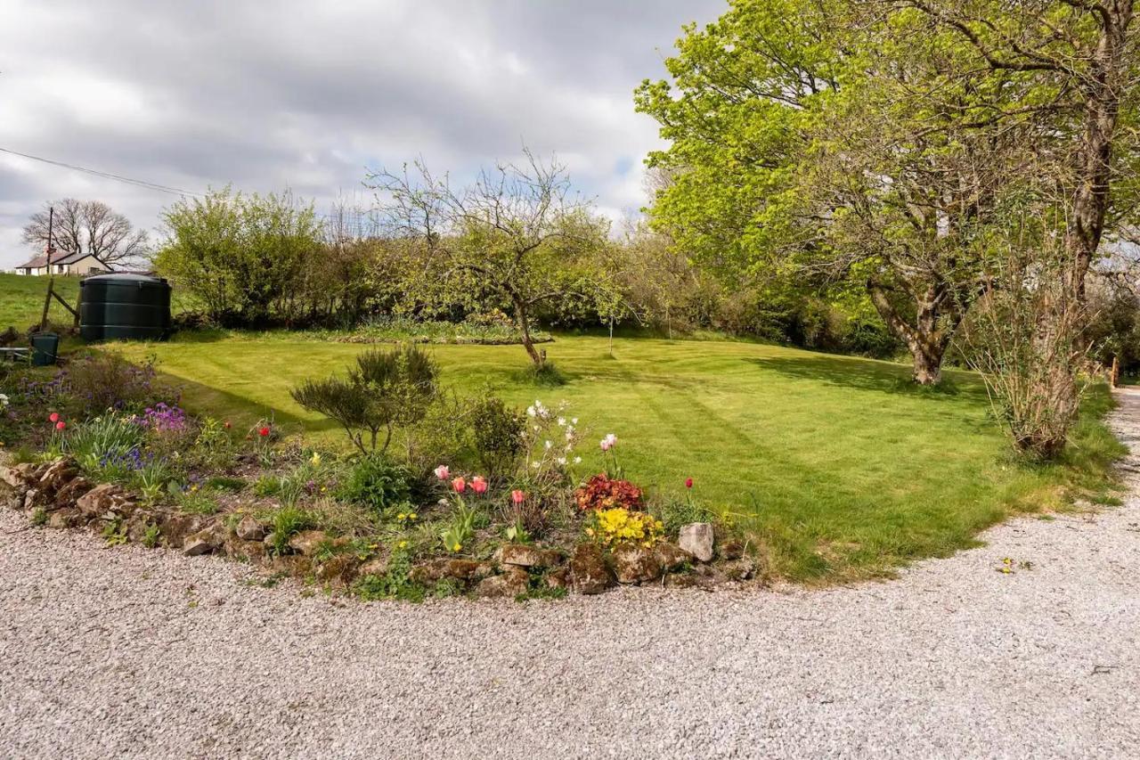 Llys Onnen - North Wales Holiday Cottage Mold Exterior photo