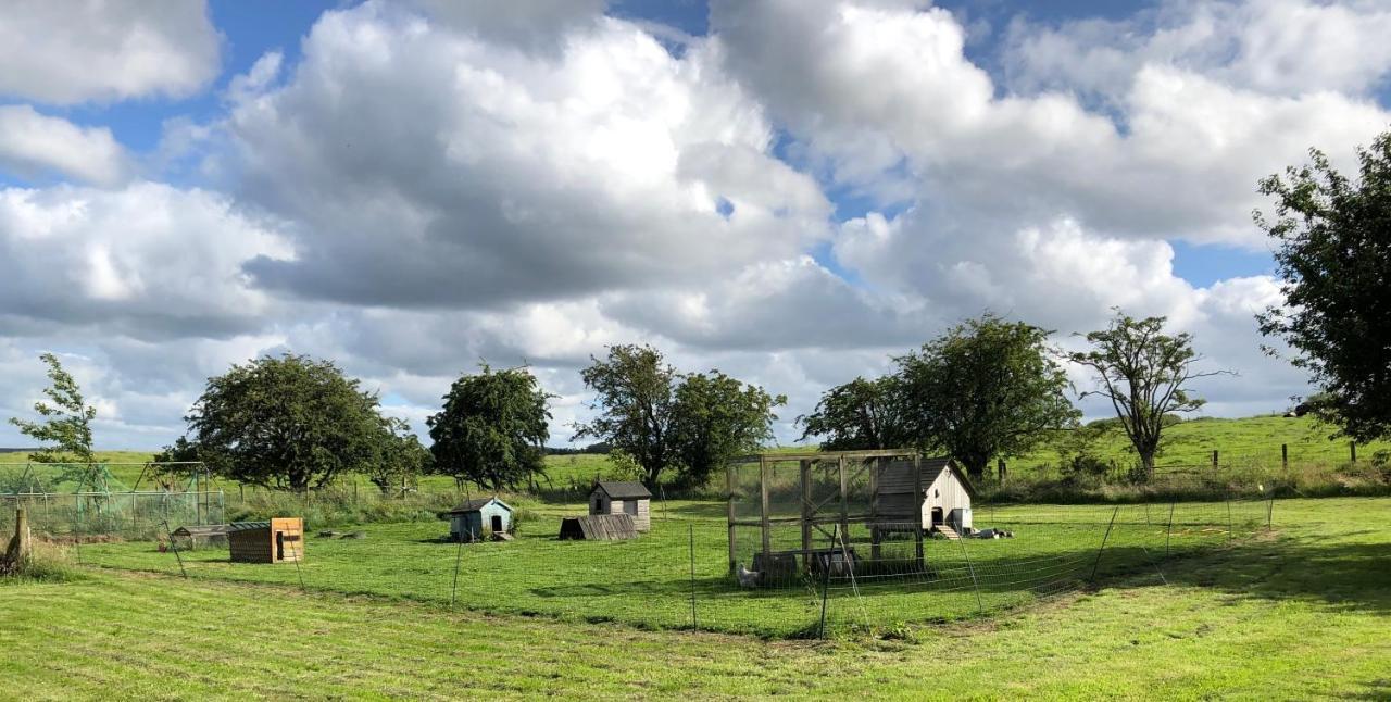 Llys Onnen - North Wales Holiday Cottage Mold Exterior photo