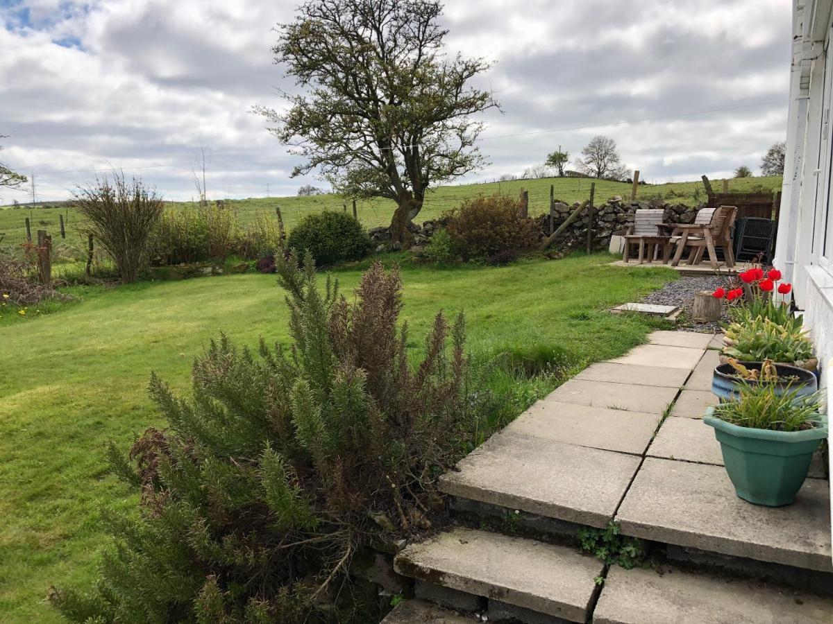 Llys Onnen - North Wales Holiday Cottage Mold Exterior photo